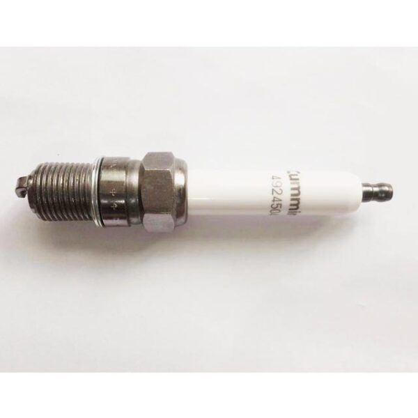 Cummins Parts Spark plug 4924504